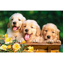 Castorland Hugging Puppies Jigsaw Puzzle 108pcs-1