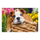 Castorland Classic Jigsaw Puzzle 70pcs