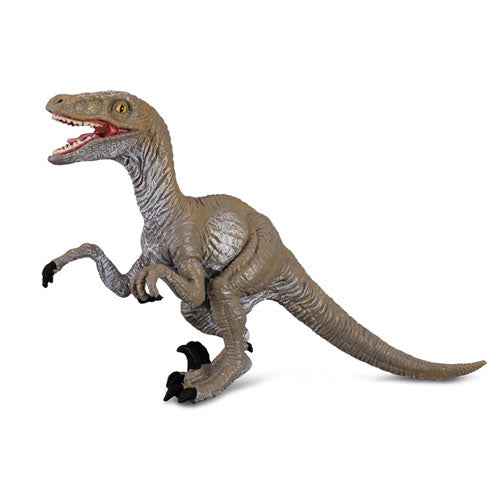 CollectA Velociraptor Dinosaur Figure