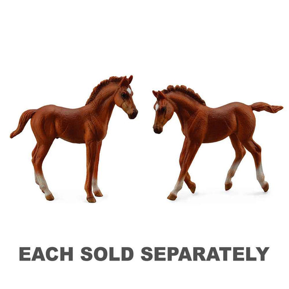 CollectA Thoroughbred Foal Chestnut (Medium)