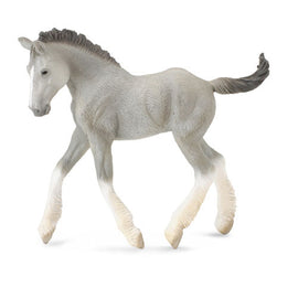 CollectA Shire Horse Foal Figure (Medium) - 0
