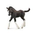 CollectA Shire Horse Foal Figure (Medium)-4