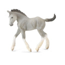 CollectA Shire Horse Foal Figure (Medium)-5