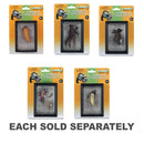 CollectA T Rex Parts in Display Case-1