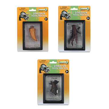 CollectA T Rex Parts in Display Case - 0