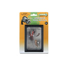 CollectA T Rex Parts in Display Case-4