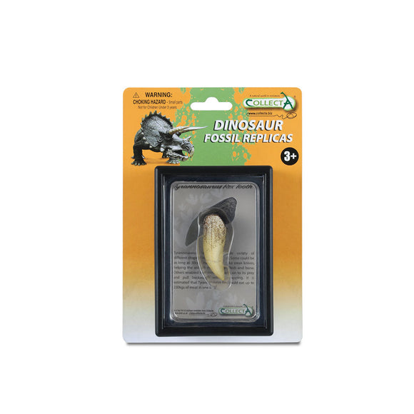 CollectA T Rex Parts in Display Case
