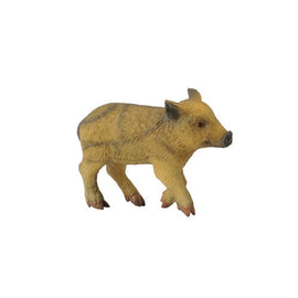CollectA Wild Piglet Figure (Small) - 0