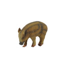 CollectA Wild Piglet Figure (Small)-4