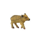 CollectA Wild Piglet Figure (Small)-5