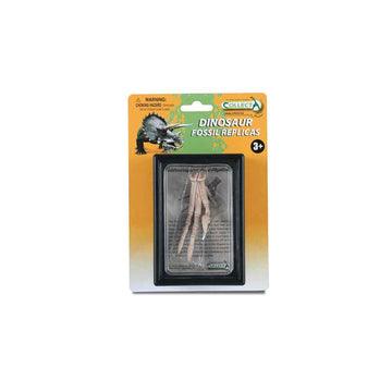 CollectA Foot Replica of Velociraptor in Display Case