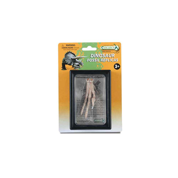 CollectA Foot Replica of Velociraptor in Display Case
