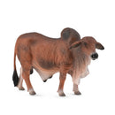 CollectA Brahman Bull Figure (Large)-5