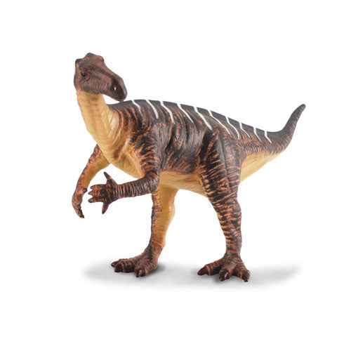 CollectA Iguanodon Dinosaur Figure