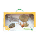 CollectA Prehistoric Sea Figures Gift Set (Pack of 4)-5
