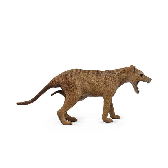 Figurine CollectA Thylacine Tigre de Tasmanie (Grande)