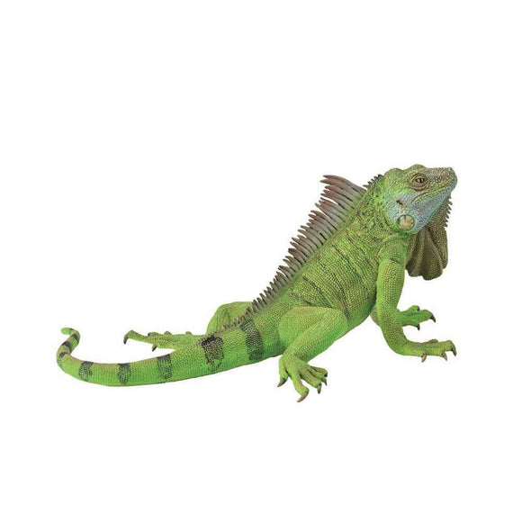 CollectA Iguana Figure (Extra Large)