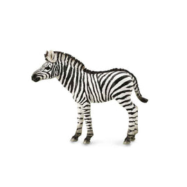 Figurine CollectA Poulain Zèbre (Moyen)