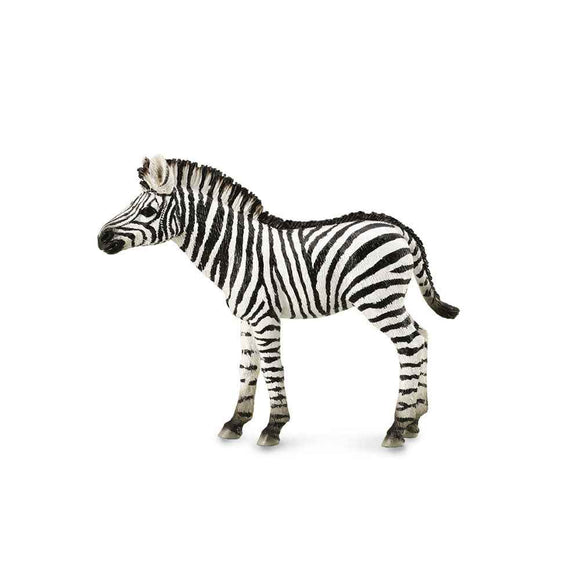 Figurine CollectA Poulain Zèbre (Moyen)