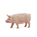 CollectA Pig Figure (Medium)-2