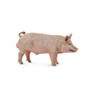 CollectA Pig Figure (Medium)-3