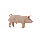 CollectA Pig Figure (Medium)-4