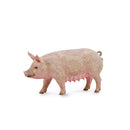 CollectA Pig Figure (Medium)-5