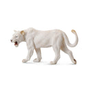 CollectA White Lion Figure (Large)-4