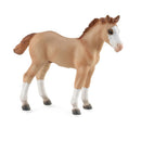 CollectA Quarter Foal Figure (Medium)-2