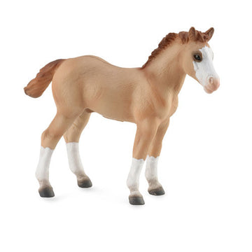 CollectA Quarter Foal Figure (Medium) - 0