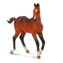 CollectA Quarter Foal Figure (Medium)-3