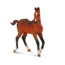CollectA Quarter Foal Figure (Medium)-4