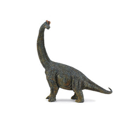 CollectA Brachiosaurus Dinosaur Figure - 0