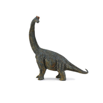 CollectA Brachiosaurus Dinosaur Figure - 0