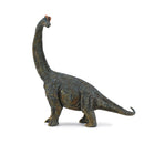 CollectA Brachiosaurus Dinosaur Figure-4