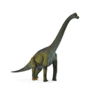CollectA Brachiosaurus Dinosaur Figure-5