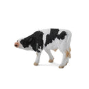 CollectA Friesian Calf Figure (Small)-5