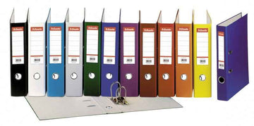 Binder Esselte Panorama, A4 / 38 mm, 4-ring ø20mm, white 0806-003