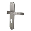 2 poignées de porte sur plaque AUDACE, Trou de cylindre - entrée - bureau, Finition aluminium nickel mat, Entraxe standard 195 mm-9