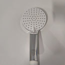 Ecost customer return Hansgrohe Crometta Shower Head