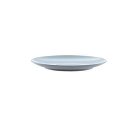 Grey and Blue Plastic Plate - 0
