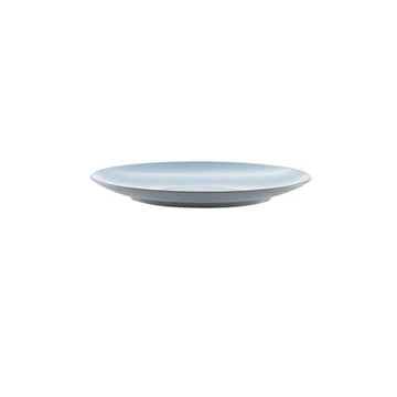 Grey and Blue Plastic Plate - 0
