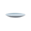 Grey and Blue Plastic Plate-3