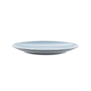Grey and Blue Plastic Plate-5