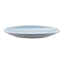 Grey and Blue Plastic Plate-4
