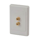 Banana Binding Terminals on Wallplate-4