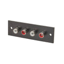 4-Way Phenolic Socket-5