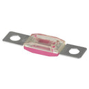 High Current Protection Bolt Down Fuse-5