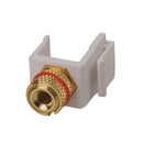 Keystone Insert Banana Socket (Gold)-5