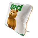 Ted 14" Pillow w/ Sound-1